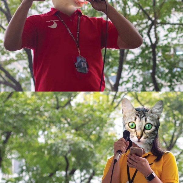 [SPOOF] “You’ve got to be kitten me!”: Mga pusa ng DLSU, magkakaroon ng representasyon sa USG