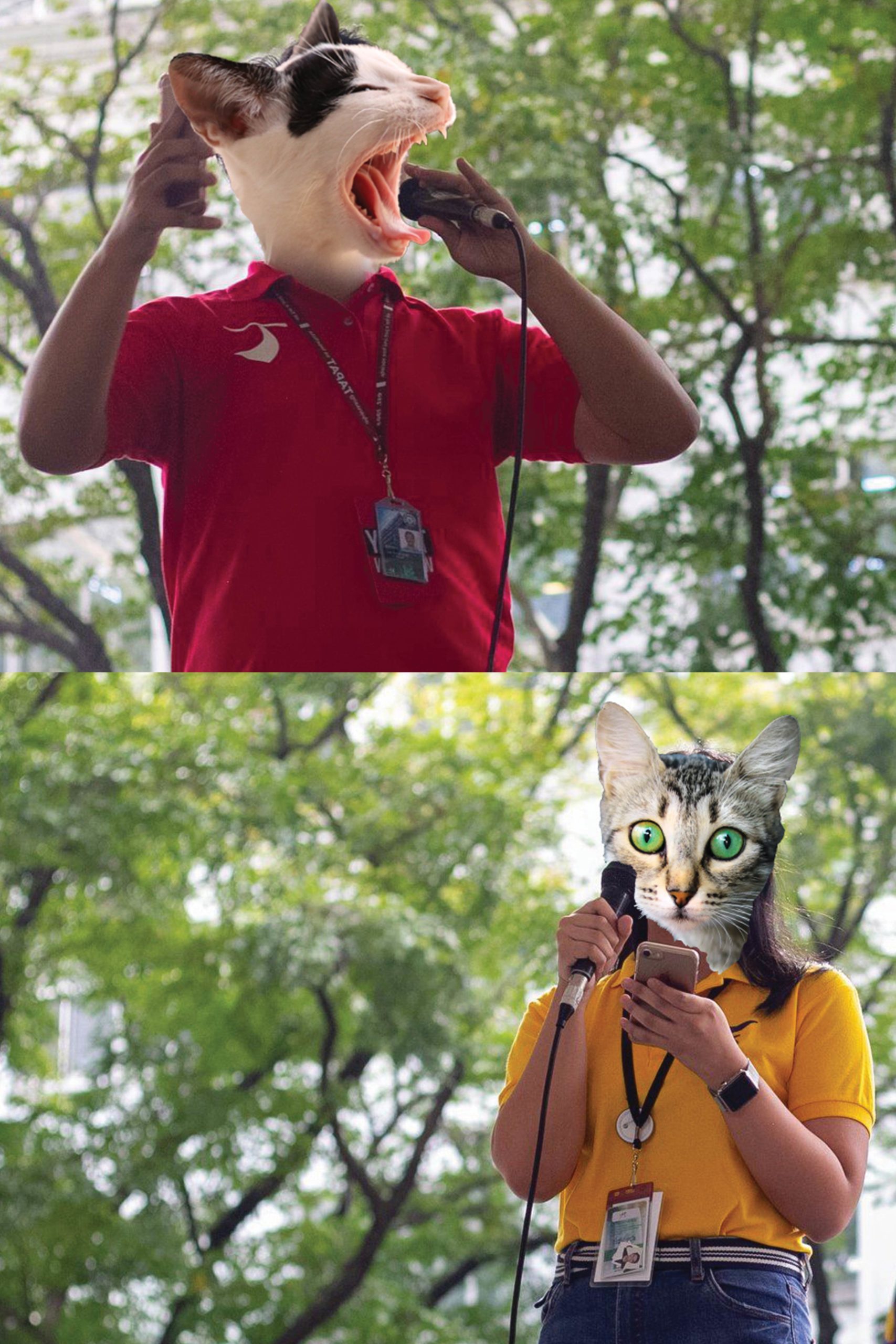 Read more about the article [SPOOF] “You’ve got to be kitten me!”: Mga pusa ng DLSU, magkakaroon ng representasyon sa USG