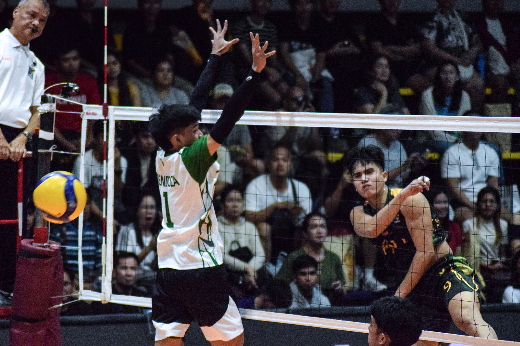 Read more about the article Green Spikers, inararo ng puwersa ng Tamaraws