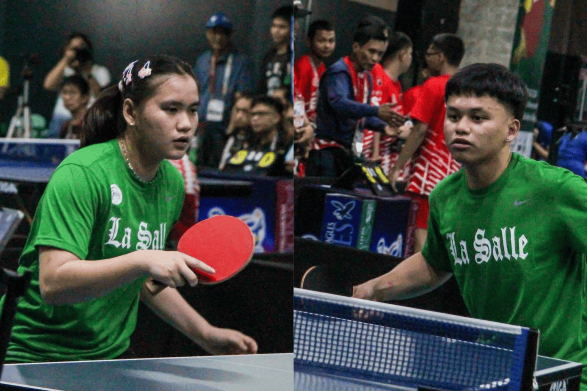 Read more about the article Green at Lady Paddlers, napasabak sa magkasalungat na eksena